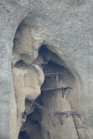 Cave life, Meteora