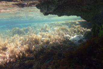 Under the reef, Rhodes