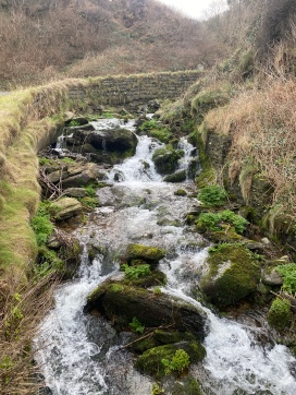The Valley of Rocks, Lynton